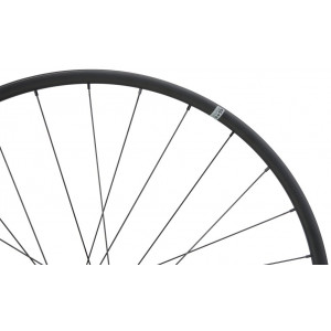 Tagajooks NEWMEN Evolution Alu X.A.25 27.5" 28H SP 6-bolt 12x148 MicroSpline