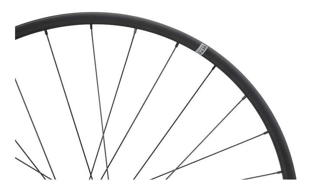 Tagajooks NEWMEN Evolution Alu X.A.25 27.5" 28H SP 6-bolt 12x148 MicroSpline - 2