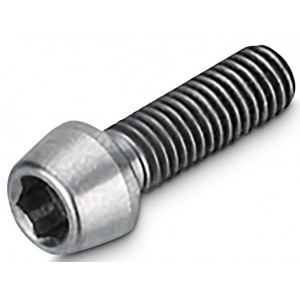 Lenksupikenduse polt NEWMEN Hex Titanium M5x16 TL10.5 for Evolution SL