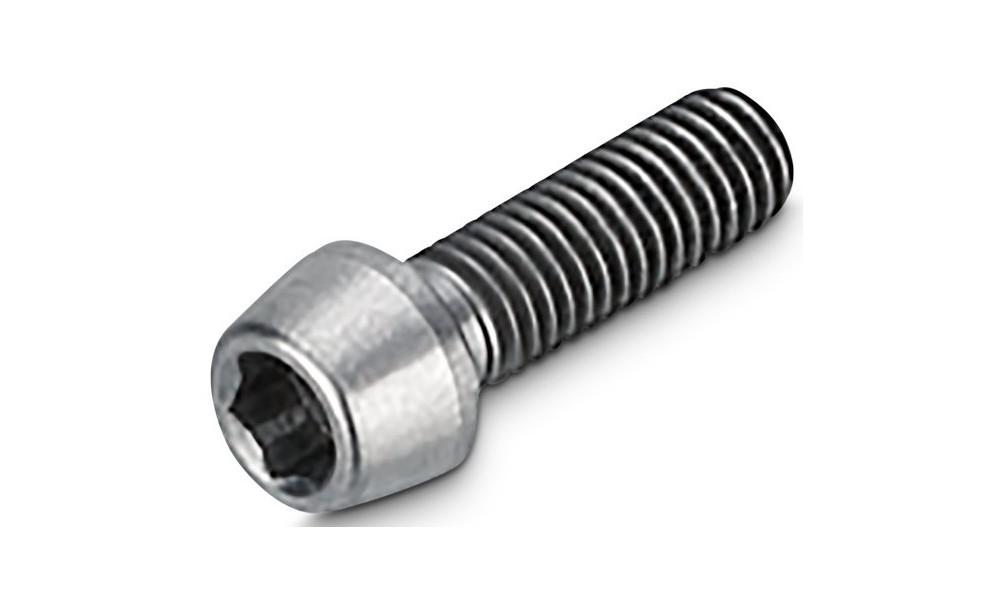 Lenksupikenduse polt NEWMEN Hex Titanium M5x16 TL10.5 for Evolution SL - 1