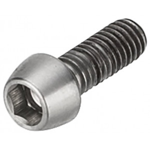 Lenksupikenduse polt NEWMEN Hex Titanium M6x16 TL10.5 for Evolution SL