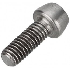 Lenksupikenduse polt NEWMEN Hex Titanium M6x16 TL10.5 for Evolution SL