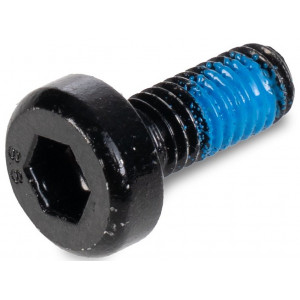 Polt ACID M6x14-8.8 spherical