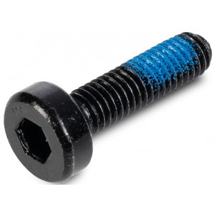 Polt ACID M6x22-8.8 spherical