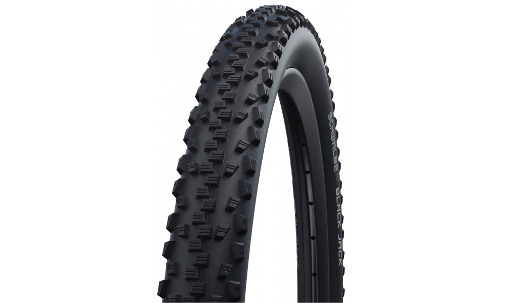 Väliskumm 20" Schwalbe Black Jack HS 407, Active Wired 47-406 Black - 1