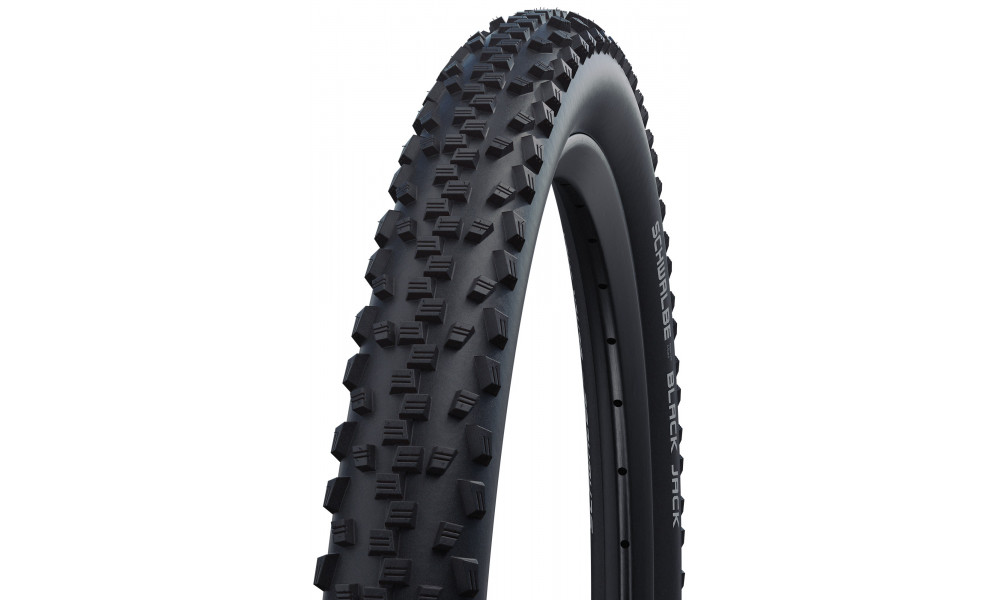 Väliskumm 24" Schwalbe Black Jack HS 407 Active Wired 54-507 Black - 1