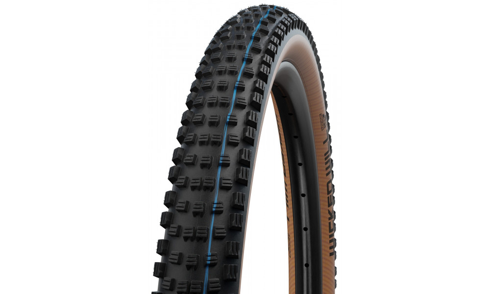 Väliskumm 29" Schwalbe Wicked Will HS 614 Evo Fold TLE 62-622 / 29x2.40 Super Race Addix SpeedGrip Transparent - 1