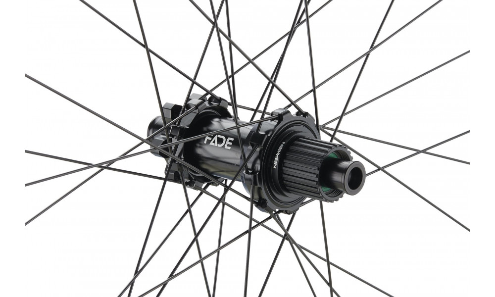 Tagajooks NEWMEN Forge Alu 30 DH 29" 32H SP 6-bolt 12x157 MicroSpline 