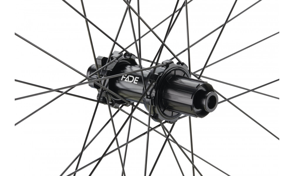 Tagajooks NEWMEN Forge Alu 30 DH 29" 32H SP 6-bolt 12x157 HG 