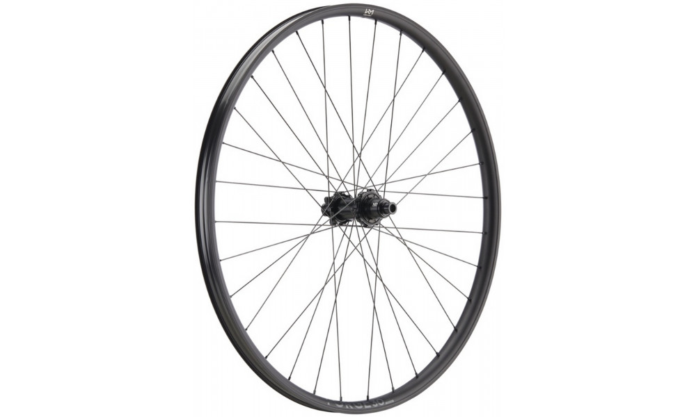 Tagajooks NEWMEN Forge Alu 30 DH 29" 32H SP 6-bolt 12x157 XD - 1