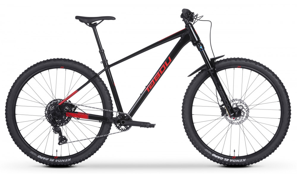 Jalgratas Tabou Snake 1.0 29 black-red 