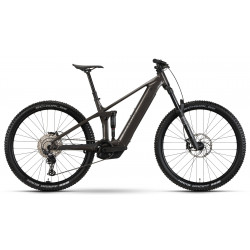 Elektrijalgratas Raymon Korak Pro 29" 800 2026 pipe grey-black