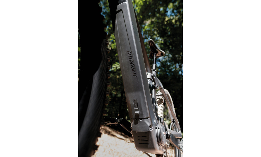 Elektrijalgratas Raymon Korak Pro 29" 800 2026 pipe grey-black - 2
