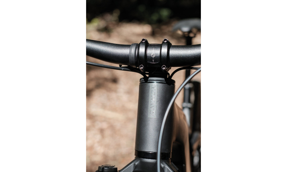 Elektrijalgratas Raymon Korak Pro 29" 800 2026 pipe grey-black - 3