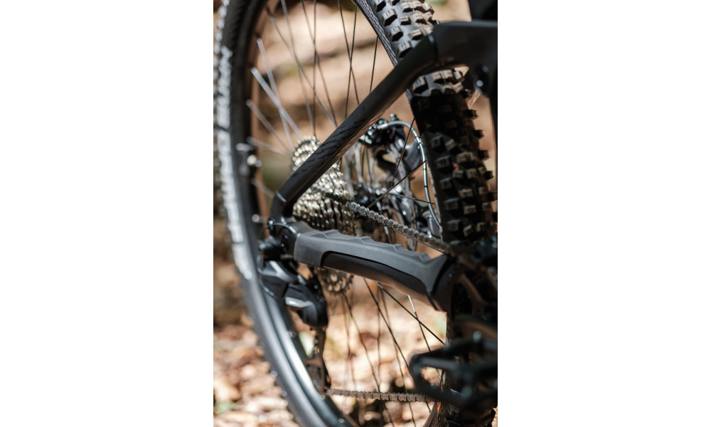 Elektrijalgratas Raymon Korak Pro 29" 800 2026 pipe grey-black - 7