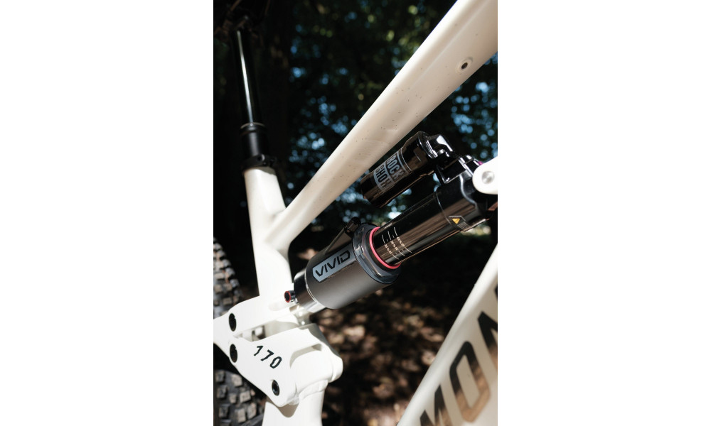 Elektrijalgratas Raymon Ravor LT Pro 29"-27.5" 840 2026 white sparkle - 4