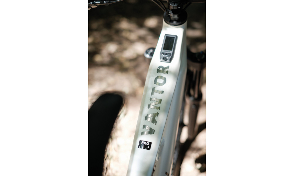 Elektrijalgratas Raymon Ravor LT Pro 29"-27.5" 840 2026 white sparkle - 5