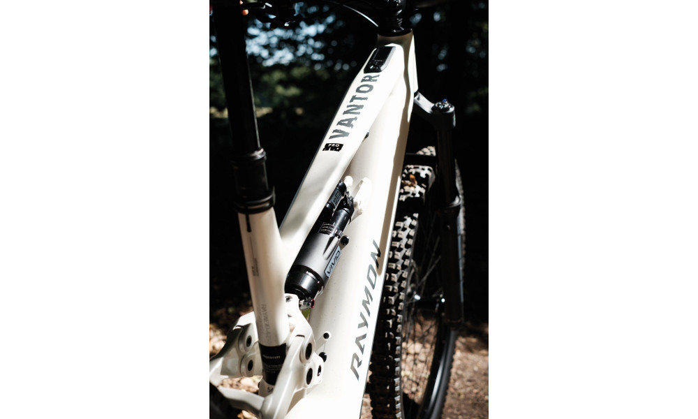 Elektrijalgratas Raymon Vantor Pro 29"-27.5" 840 2026 white sparkle - 11