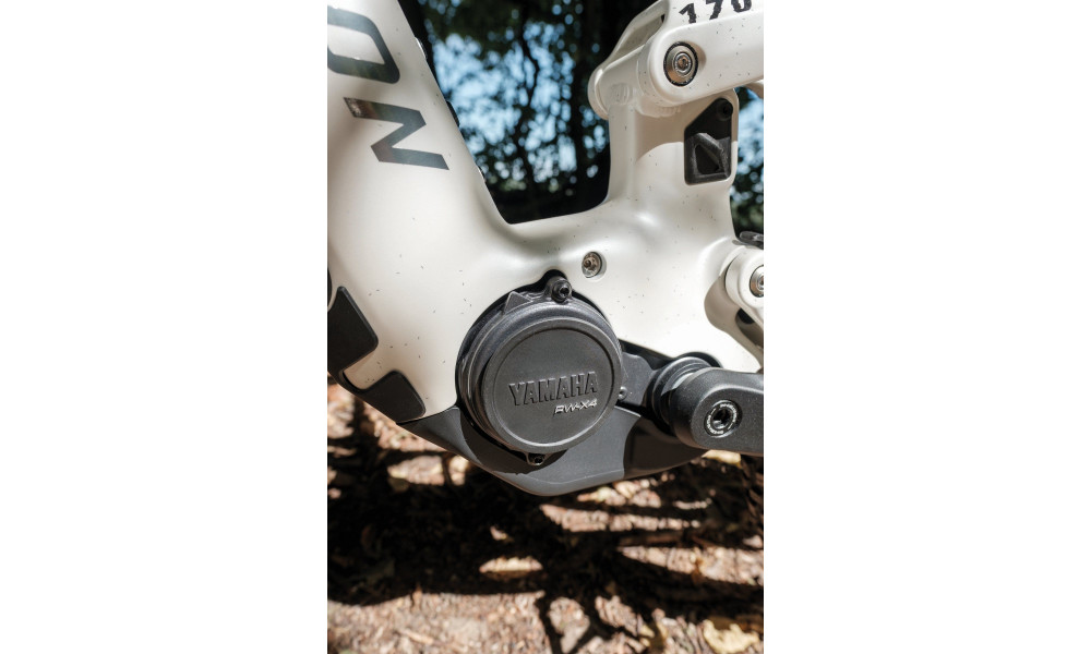 Elektrijalgratas Raymon Ravor LT Pro 29"-27.5" 840 2026 white sparkle - 13