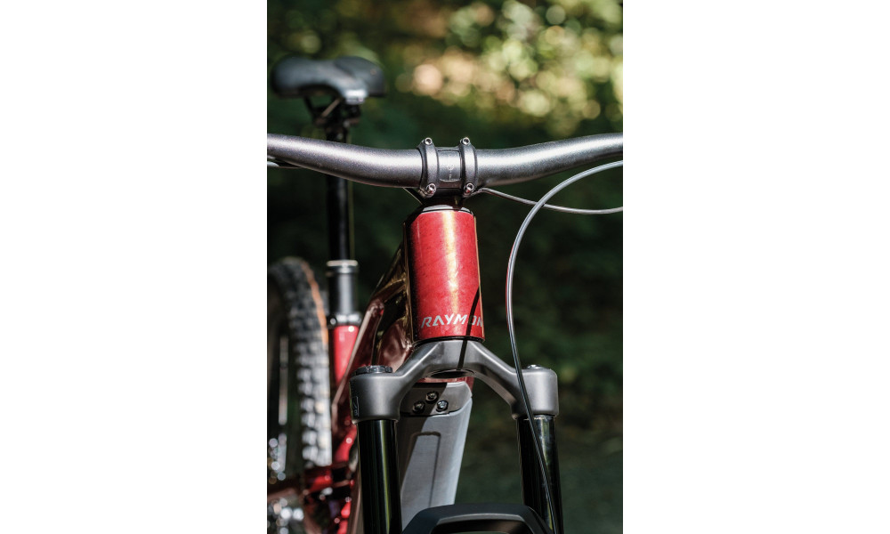 Elektrijalgratas Raymon Ravor Pro 29"-27.5" 840 2026 rubyred - 7