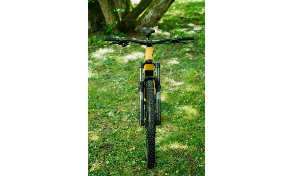 Elektrijalgratas Raymon Airok Comp 29" 400 2026 kurkuma-brown - 2