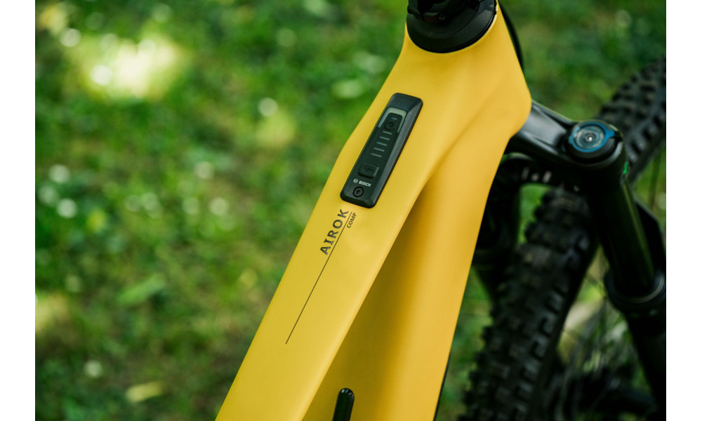 Elektrijalgratas Raymon Airok Comp 29" 400 2026 kurkuma-brown - 4