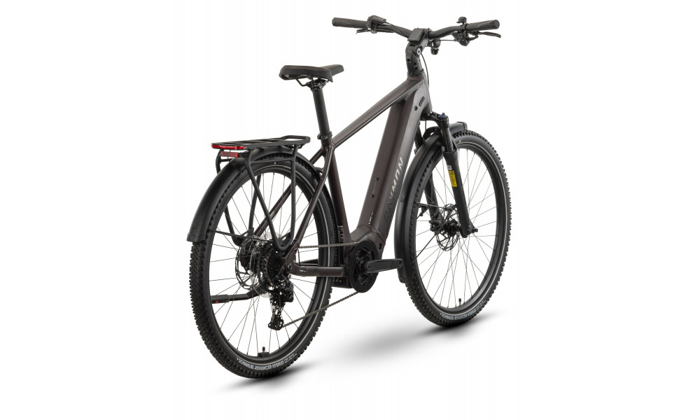 Elektrijalgratas Raymon Tahona Comp 29" 800 2026 plum noir - 2