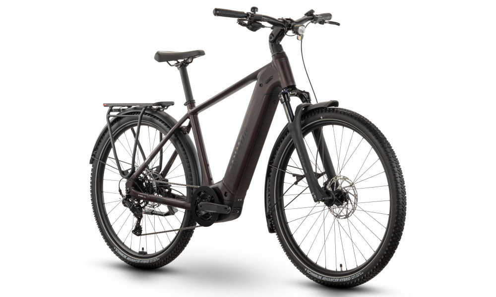 Elektrijalgratas Raymon Tahona Comp 29" 800 2026 plum noir - 3