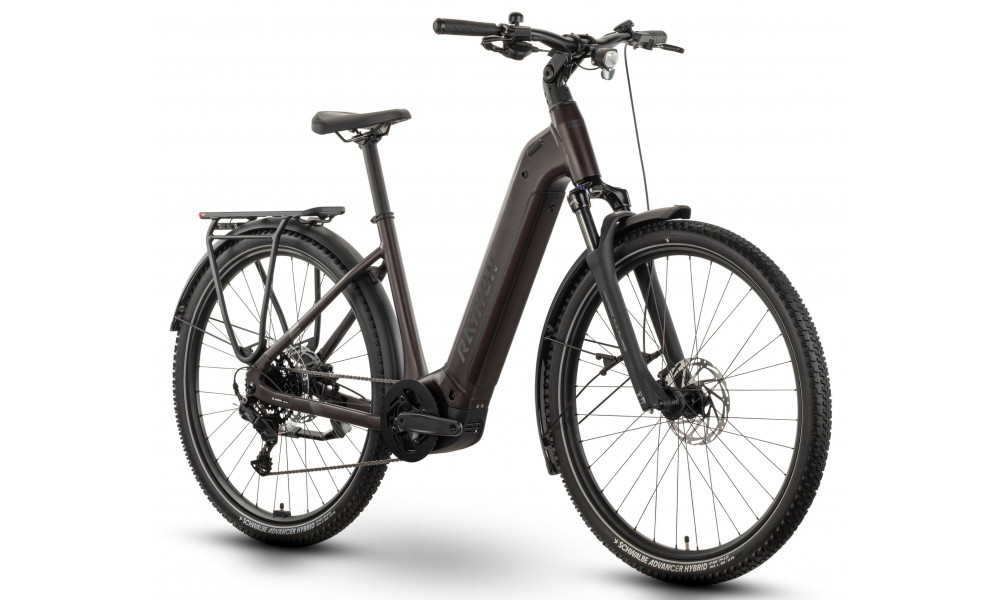 Elektrijalgratas Raymon Tahona Comp 29" 800 Easy Entry 2026 plum noir - 2