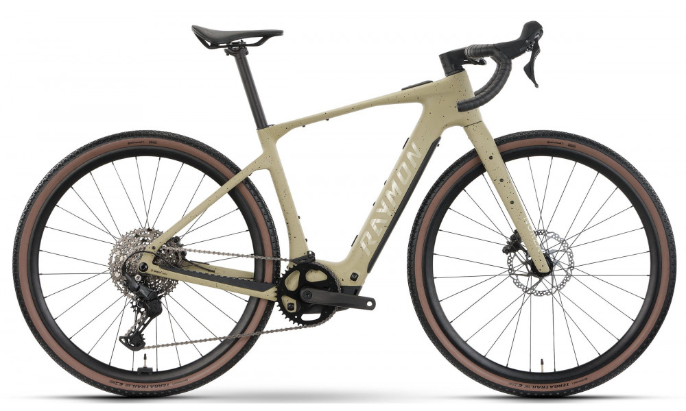 Elektrijalgratas Raymon Norza Comp 400 2026 greige freckels - 1