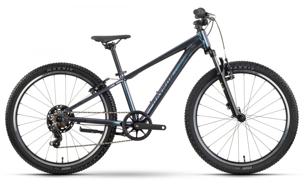 Jalgratas Raymon Nayta 24 Comp 2026 iridiumblack - 1