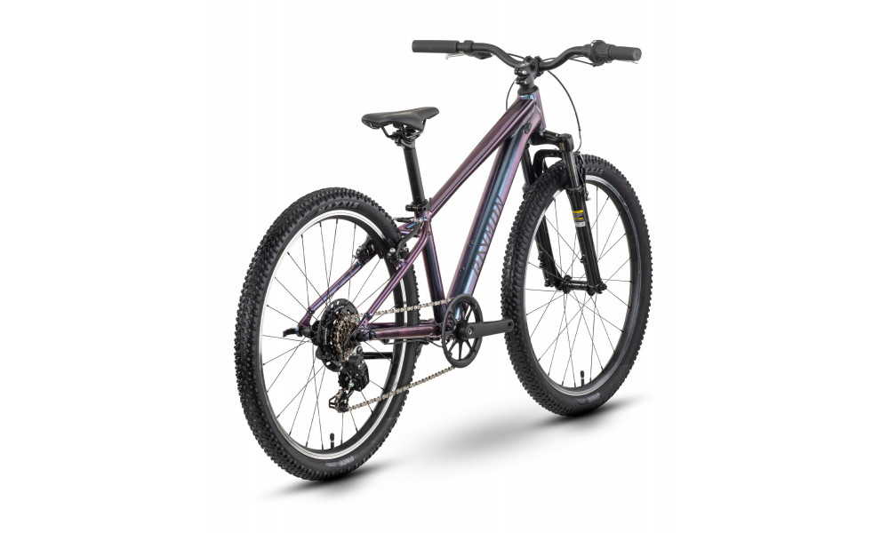 Jalgratas Raymon Nayta 24 Comp 2026 iridiumblack - 3