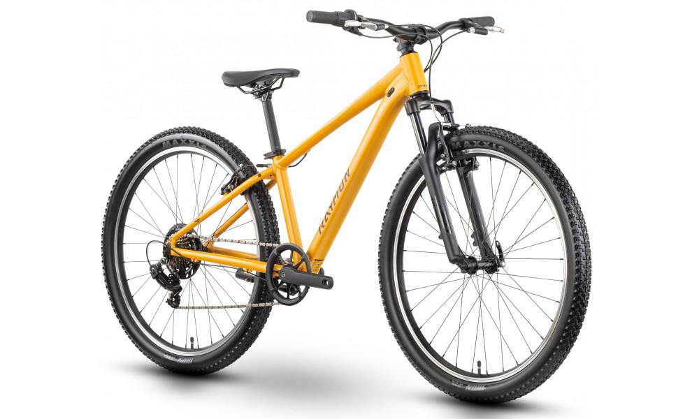 Jalgratas Raymon Nayta 26 Comp 2026 kurkuma - 2