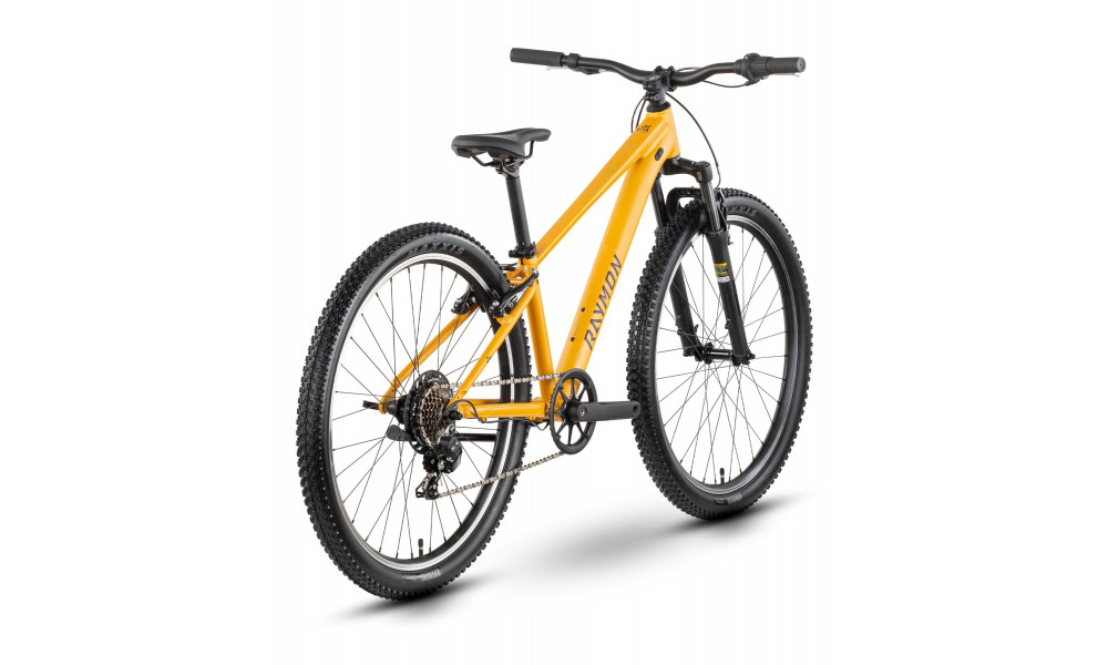 Jalgratas Raymon Nayta 26 Comp 2026 kurkuma - 3