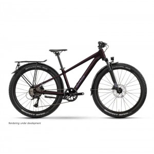 Jalgratas Raymon Nayta 26 Pro Street 2026 floridplum