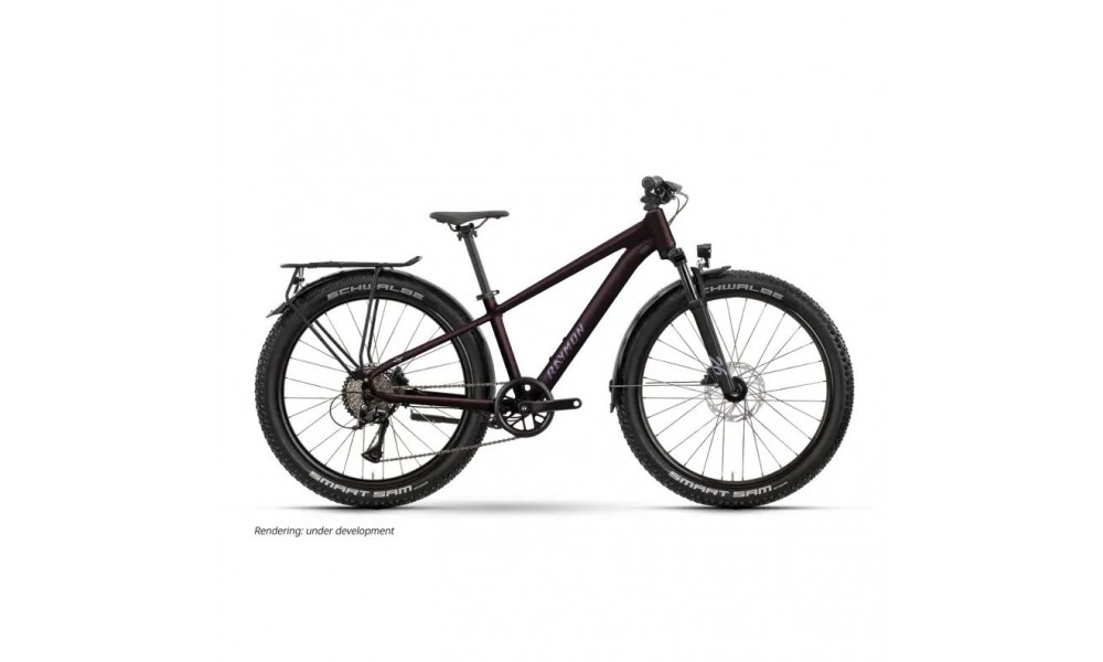 Jalgratas Raymon Nayta 26 Pro Street 2026 floridplum 