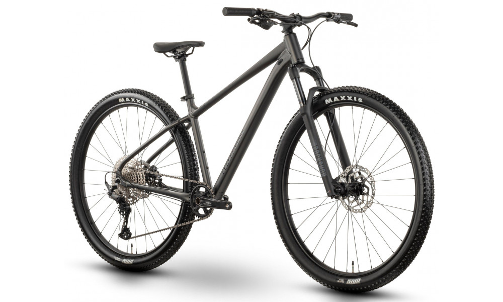 Jalgratas Raymon Nayta Ultra 29" 2026 anthracite-black - 2