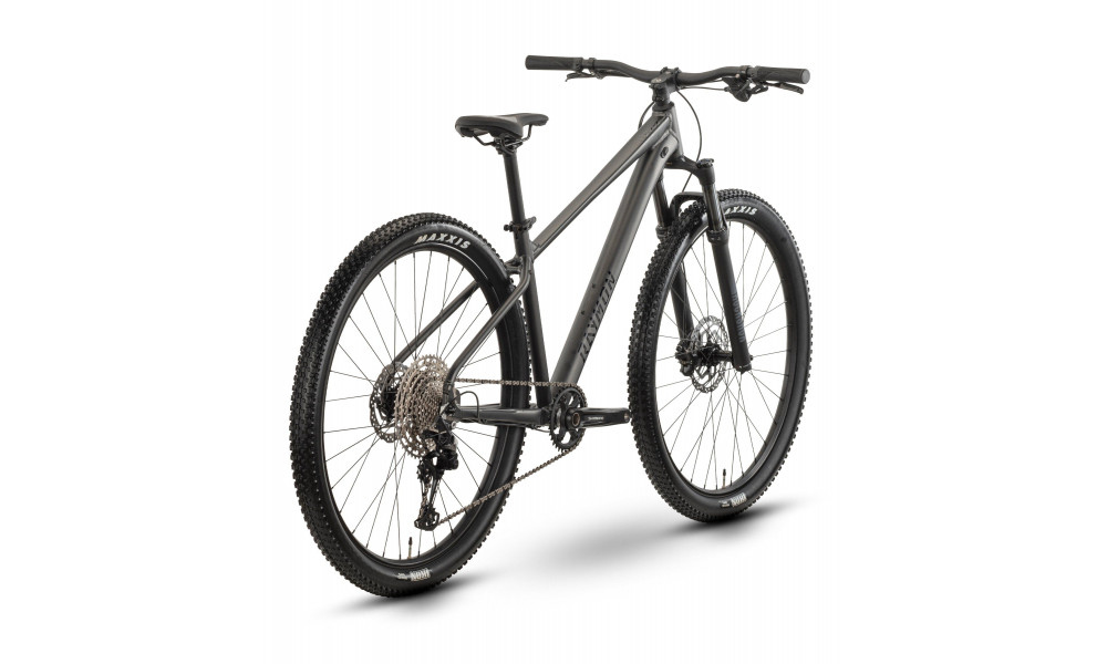 Jalgratas Raymon Nayta Ultra 29" 2026 anthracite-black - 3