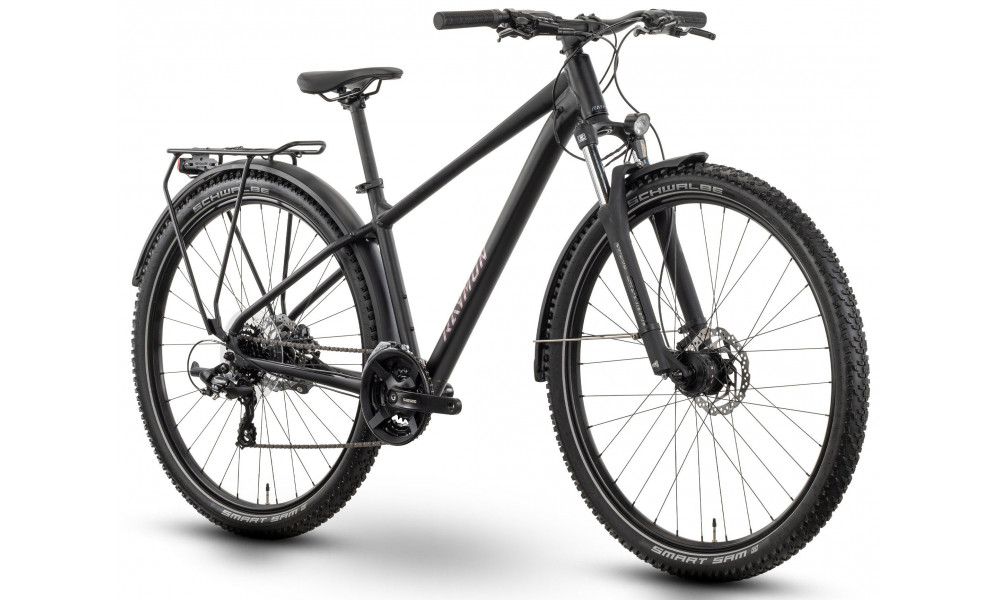 Jalgratas Raymon Nayta Street 29" 2026 black-chameleon - 2