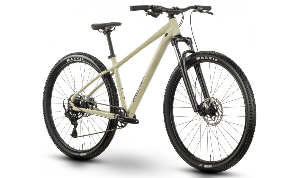 Jalgratas Raymon Nayta Comp 27.5" 2026 salvia green-black - 2