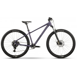 Jalgratas Raymon Nayta Comp 29" 2026 smoke lavender-black