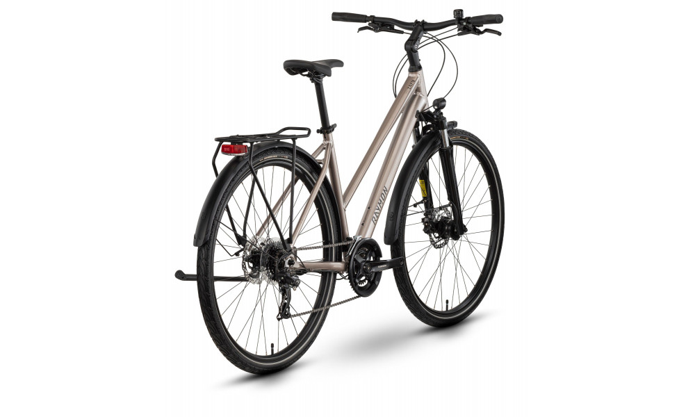 Jalgratas Raymon Zayn Comp Trapeze 2026 taupe grey-black - 3