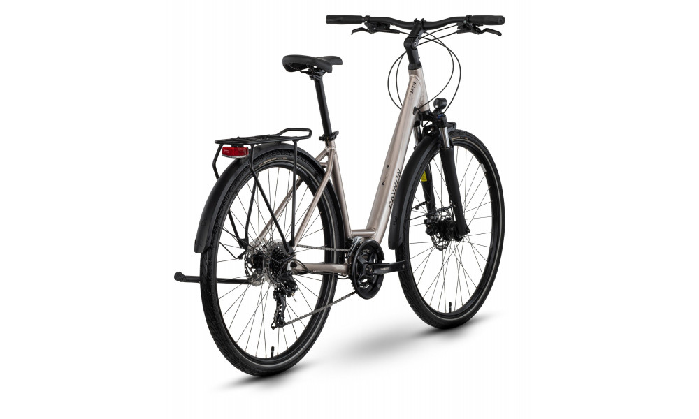 Jalgratas Raymon Zayn Comp Easy Entry 2026 taupe grey-black - 3