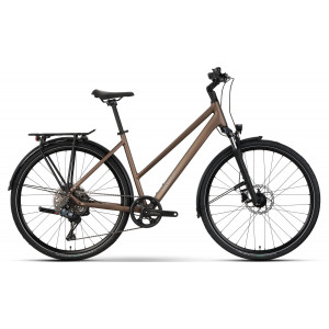 Jalgratas Raymon Zayn Auto Trapeze 2026 mushroom