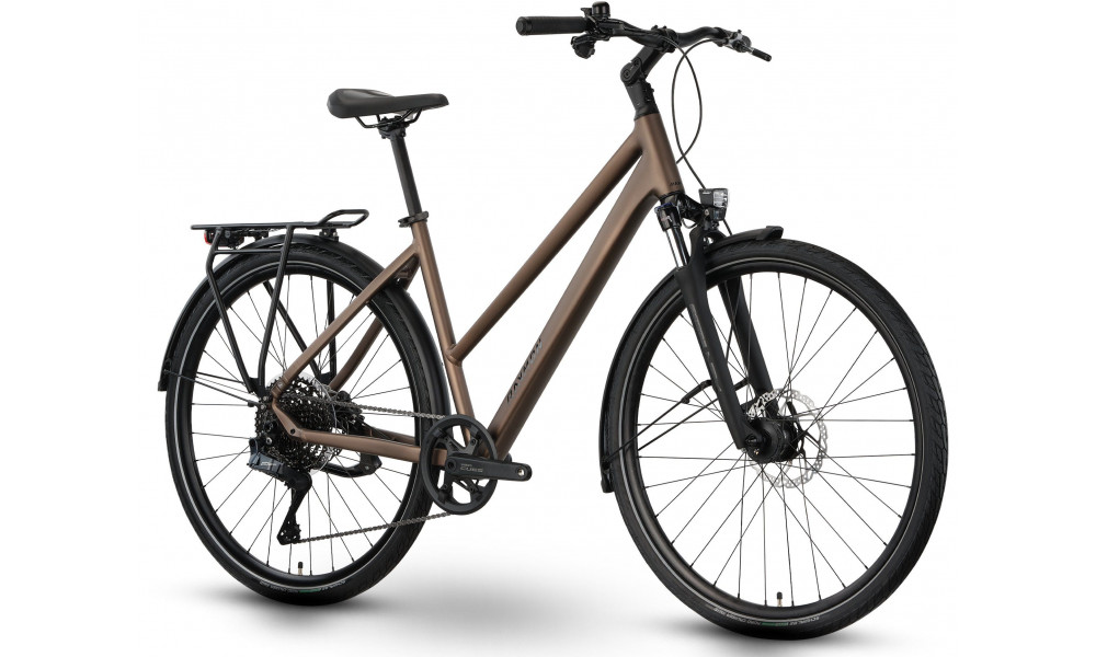 Jalgratas Raymon Zayn Auto Trapeze 2026 mushroom - 2