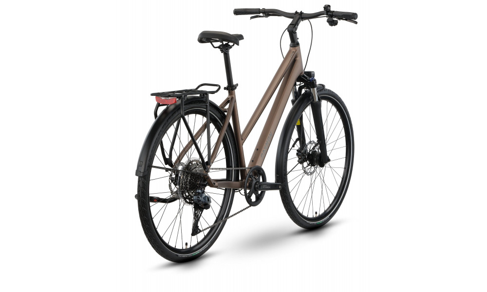 Jalgratas Raymon Zayn Auto Trapeze 2026 mushroom - 3