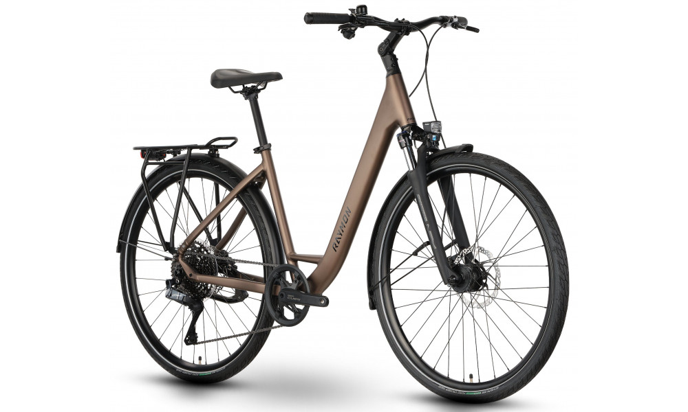 Jalgratas Raymon Zayn Auto Easy Entry 2026 mushroom - 2