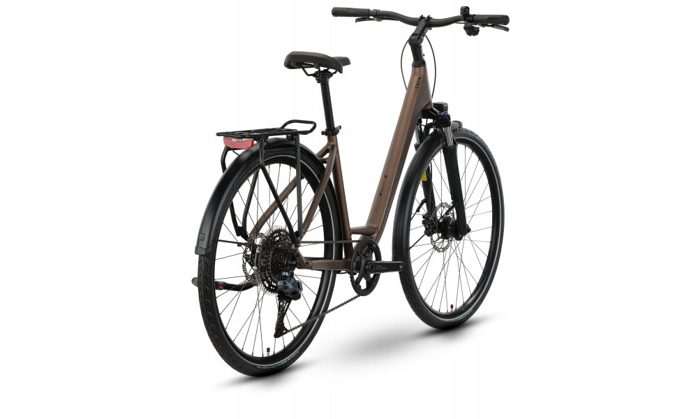 Jalgratas Raymon Zayn Auto Easy Entry 2026 mushroom - 3