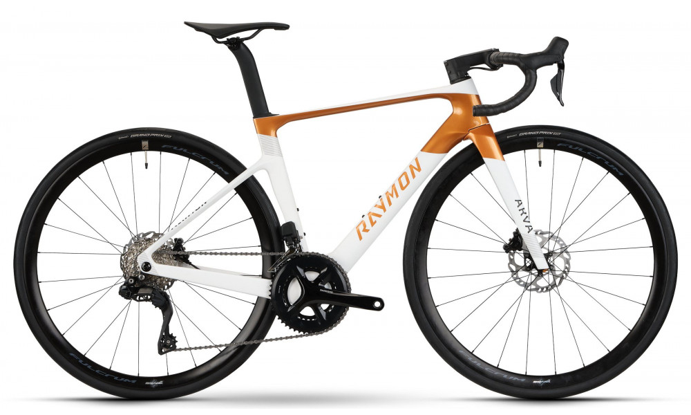 Jalgratas Raymon Arva Comp 2026 white-copper - 1