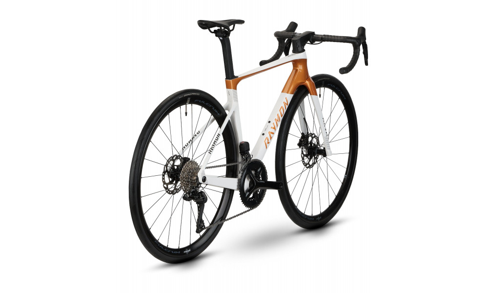 Jalgratas Raymon Arva Comp 2026 white-copper - 3